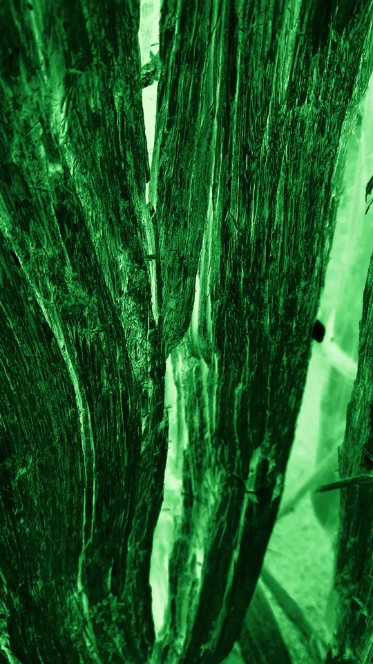 Green Teepee